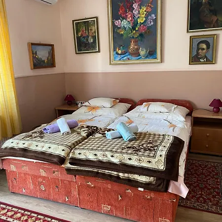 게스트하우스 Karoly Vendeghaz